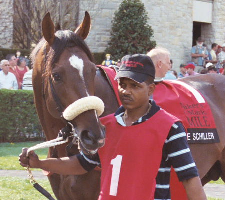 Entering paddock